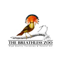 The Breathless Zoo logo, The Breathless Zoo contact details