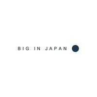 Big In Japan Store / HIDDEN logo, Big In Japan Store / HIDDEN contact details