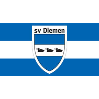 sv Diemen logo, sv Diemen contact details