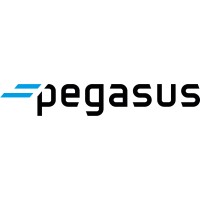 Pegasus Casters USA logo, Pegasus Casters USA contact details