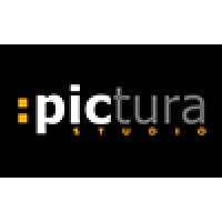 Pictura Studio S.L.L logo, Pictura Studio S.L.L contact details