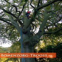 Bomenzorg-Troost logo, Bomenzorg-Troost contact details