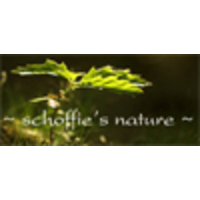 ~ schoffie's nature ~ logo, ~ schoffie's nature ~ contact details