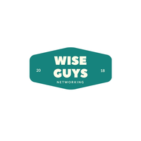 Wise Guys Networking logo, Wise Guys Networking contact details