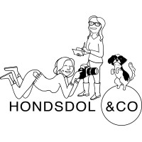 Hondsdol & Co logo, Hondsdol & Co contact details