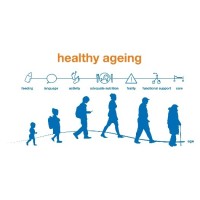 Lectoraat Healthy Ageing, Allied Health Care and Nursing logo, Lectoraat Healthy Ageing, Allied Health Care and Nursing contact details