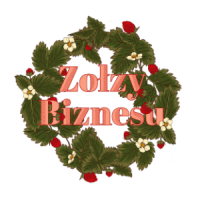 Zołzy Biznesu logo, Zołzy Biznesu contact details