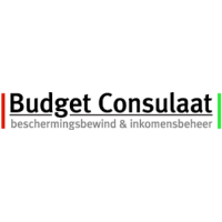 Budget Consulaat logo, Budget Consulaat contact details