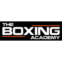 THE BOXING ACADEMY VLAARDINGEN logo, THE BOXING ACADEMY VLAARDINGEN contact details