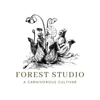 Forest Studio logo, Forest Studio contact details