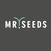 MR Seeds VOF logo, MR Seeds VOF contact details