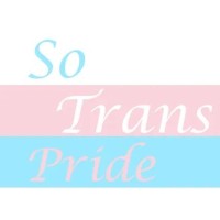 Southern Trans Pride logo, Southern Trans Pride contact details