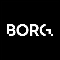 Borg Consulting BV logo, Borg Consulting BV contact details