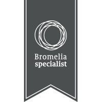 Bromelia Specialist logo, Bromelia Specialist contact details