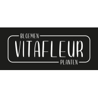 VitaFleur logo, VitaFleur contact details