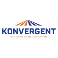 Konvergent B.V. logo, Konvergent B.V. contact details