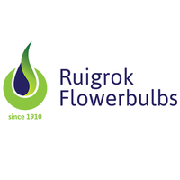 Ruigrok Flowerbulbs logo, Ruigrok Flowerbulbs contact details