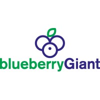 Blueberry Giant GmbH & Co. KG logo, Blueberry Giant GmbH & Co. KG contact details