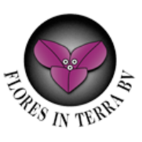 Flores in Terra logo, Flores in Terra contact details