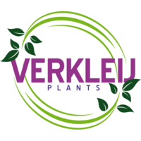 Verkleij Plants logo, Verkleij Plants contact details