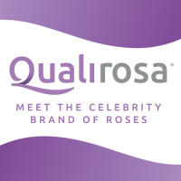 Qualirosa logo, Qualirosa contact details