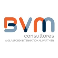 BVM Consultores logo, BVM Consultores contact details