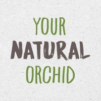 Stolk Flora - Your Natural Orchid logo, Stolk Flora - Your Natural Orchid contact details