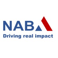 Netherlands Advisory Board on impact investing logo, Netherlands Advisory Board on impact investing contact details