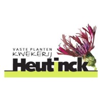 Vaste Planten Kwekerij Heutinck logo, Vaste Planten Kwekerij Heutinck contact details