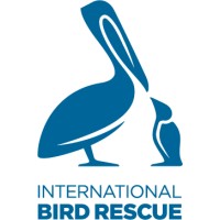 International Bird Rescue logo, International Bird Rescue contact details