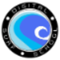 The Digital Surf School logo, The Digital Surf School contact details