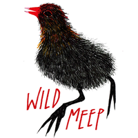 Wild Meep logo, Wild Meep contact details