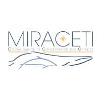 MIRACETI logo, MIRACETI contact details