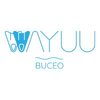 Buceo Wayuu logo, Buceo Wayuu contact details