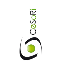 Cesori Consulting logo, Cesori Consulting contact details