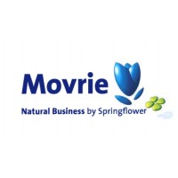 Movrie logo, Movrie contact details