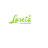 Laseta Mushrooms bv logo, Laseta Mushrooms bv contact details