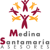 Medina Santamaria Asesores SL logo, Medina Santamaria Asesores SL contact details