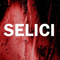 Selici logo, Selici contact details