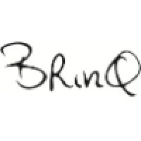 BrinQ - Executive coach - Trainer - Intervisor voor bestuur, directie & management in de zorg logo, BrinQ - Executive coach - Trainer - Intervisor voor bestuur, directie & management in de zorg contact details