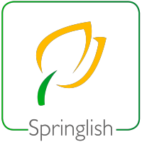 Springlish BV logo, Springlish BV contact details