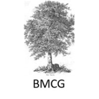 BMCG - Beukenhorst Management, Consulting & Governance logo, BMCG - Beukenhorst Management, Consulting & Governance contact details