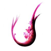 Peara Wines logo, Peara Wines contact details