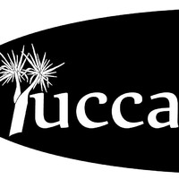 YUCCA EDITIONS logo, YUCCA EDITIONS contact details