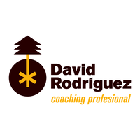 David Rodríguez - Coaching Profesional logo, David Rodríguez - Coaching Profesional contact details