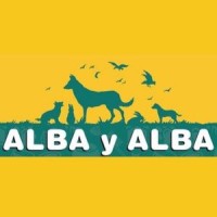 Alba y Alba logo, Alba y Alba contact details