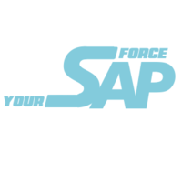 Your SAP Force logo, Your SAP Force contact details