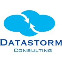 Datastorm LLC logo, Datastorm LLC contact details