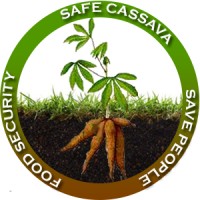 Safe Cassava logo, Safe Cassava contact details