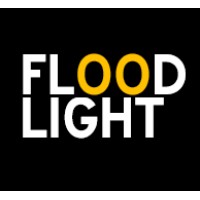 Floodlight Data Strategy & Support logo, Floodlight Data Strategy & Support contact details